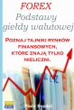Forex 1. Podstawy Gie�dy Walutowej